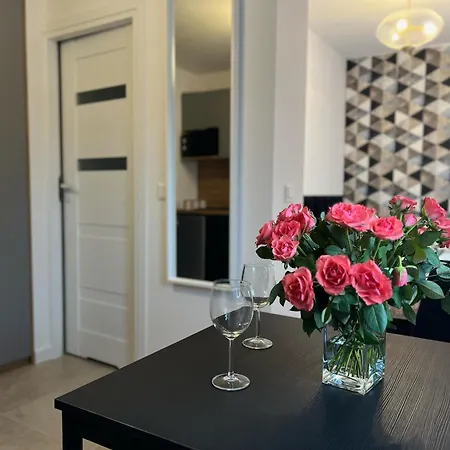 Apartamento Parkcity Bogucice