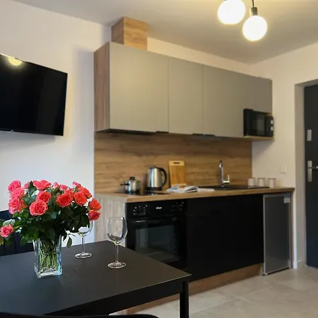 Апартаменты Parkcity Bogucice