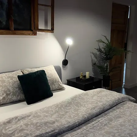 公寓 Parkcity Bogucice 卡托维兹