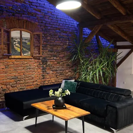 Parkcity Bogucice Apartament