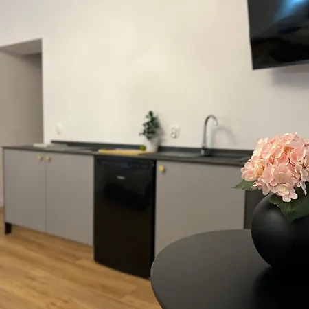 Apartament Parkcity Bogucice *