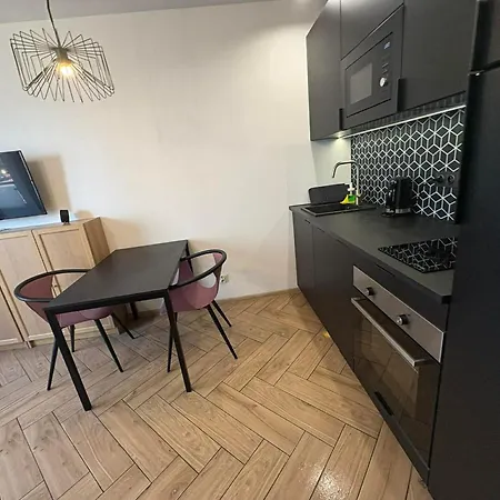 Parkcity Bogucice 公寓 卡托维兹
