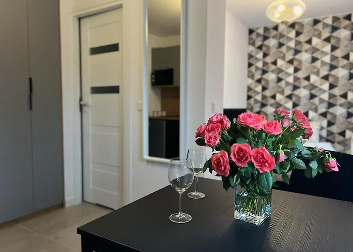 Apartment Parkcity Bogucice