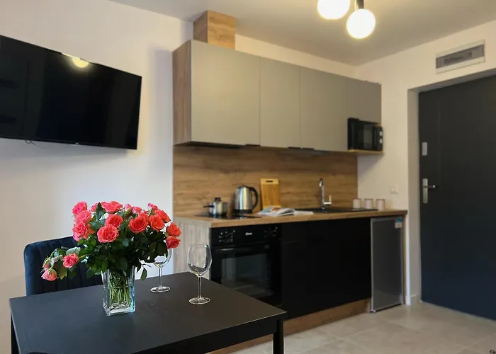 Apartament Parkcity Bogucice